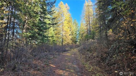700 Dry Gulch Road Colville WA 99114