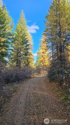 700 Dry Gulch Road Colville WA 99114