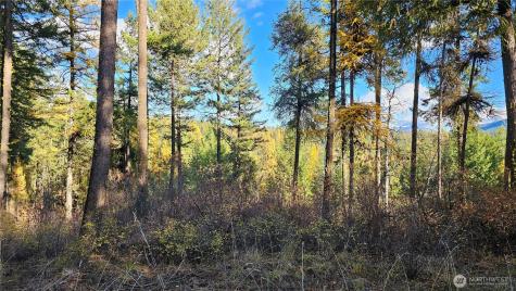 700 Dry Gulch Road Colville WA 99114