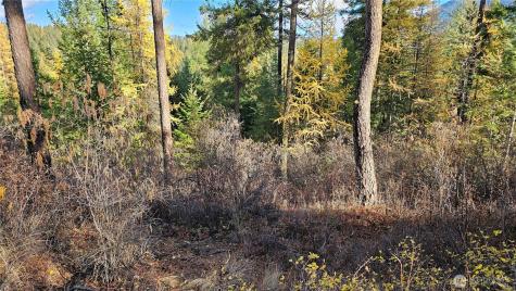 700 Dry Gulch Road Colville WA 99114