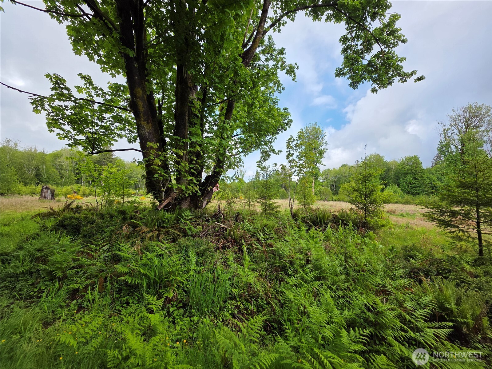 0 W Maple Rock Road Matlock WA 98560
