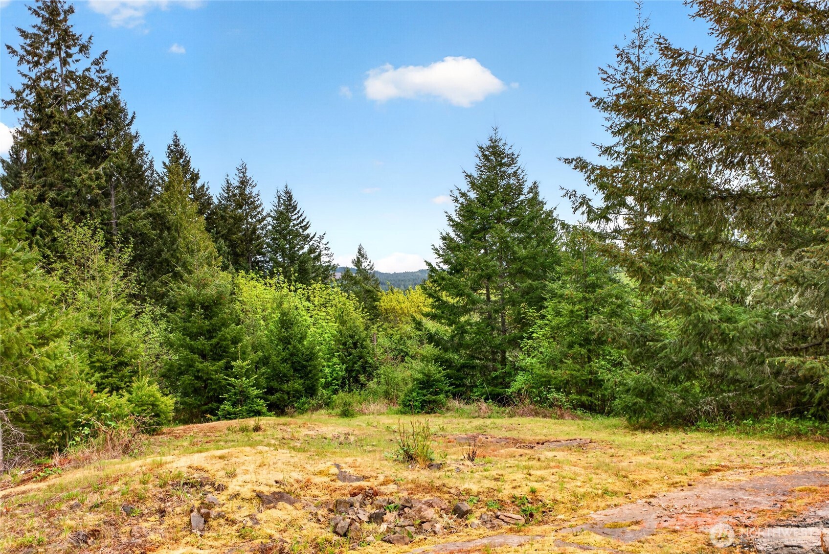 15521 Scott Turner Road E Eatonville WA 98328