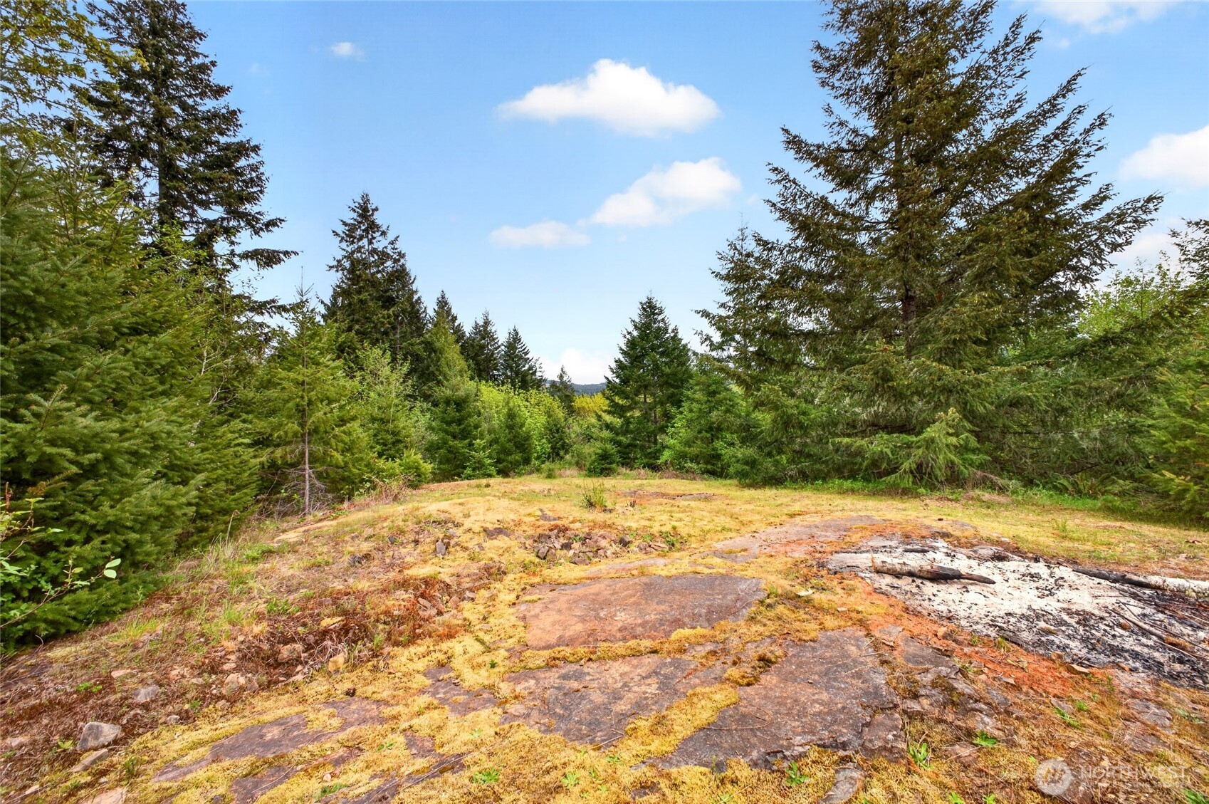 15521 Scott Turner Road E Eatonville WA 98328