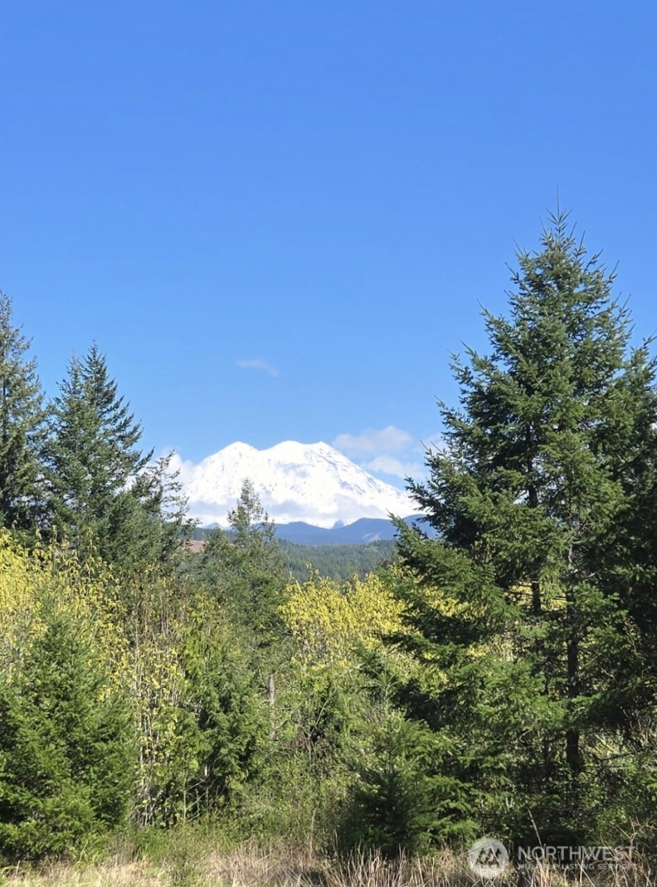 15521 Scott Turner Road E Eatonville WA 98328