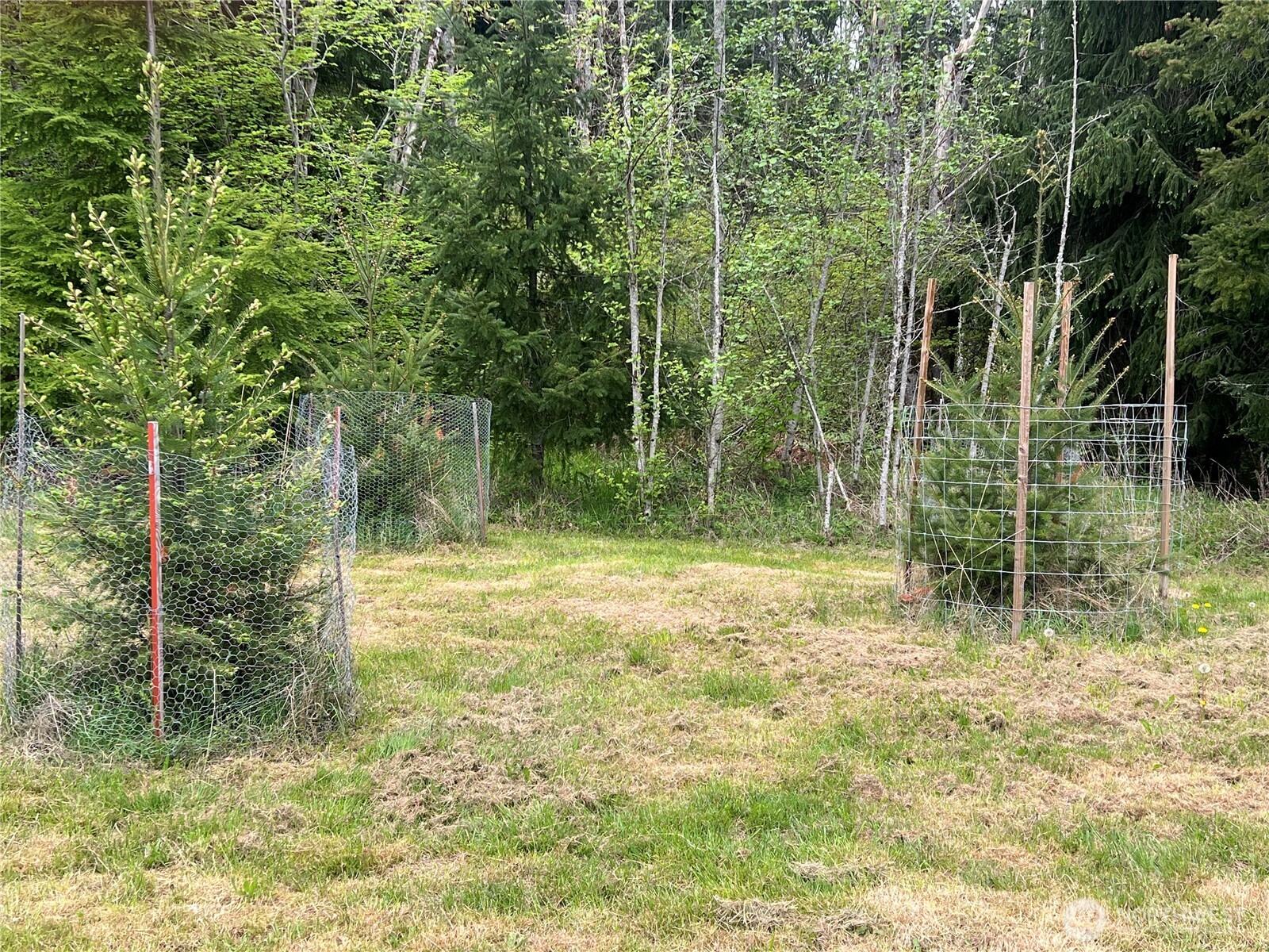 15521 Scott Turner Road E Eatonville WA 98328