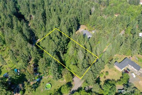 20116 9th Street SW Lakebay WA 98349