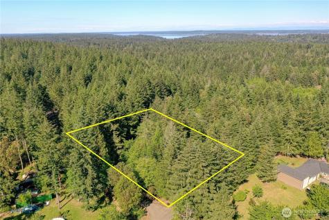 20116 9th Street SW Lakebay WA 98349