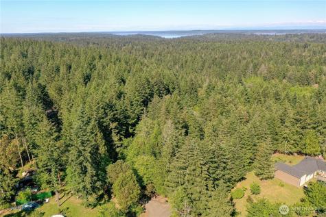 20116 9th Street SW Lakebay WA 98349