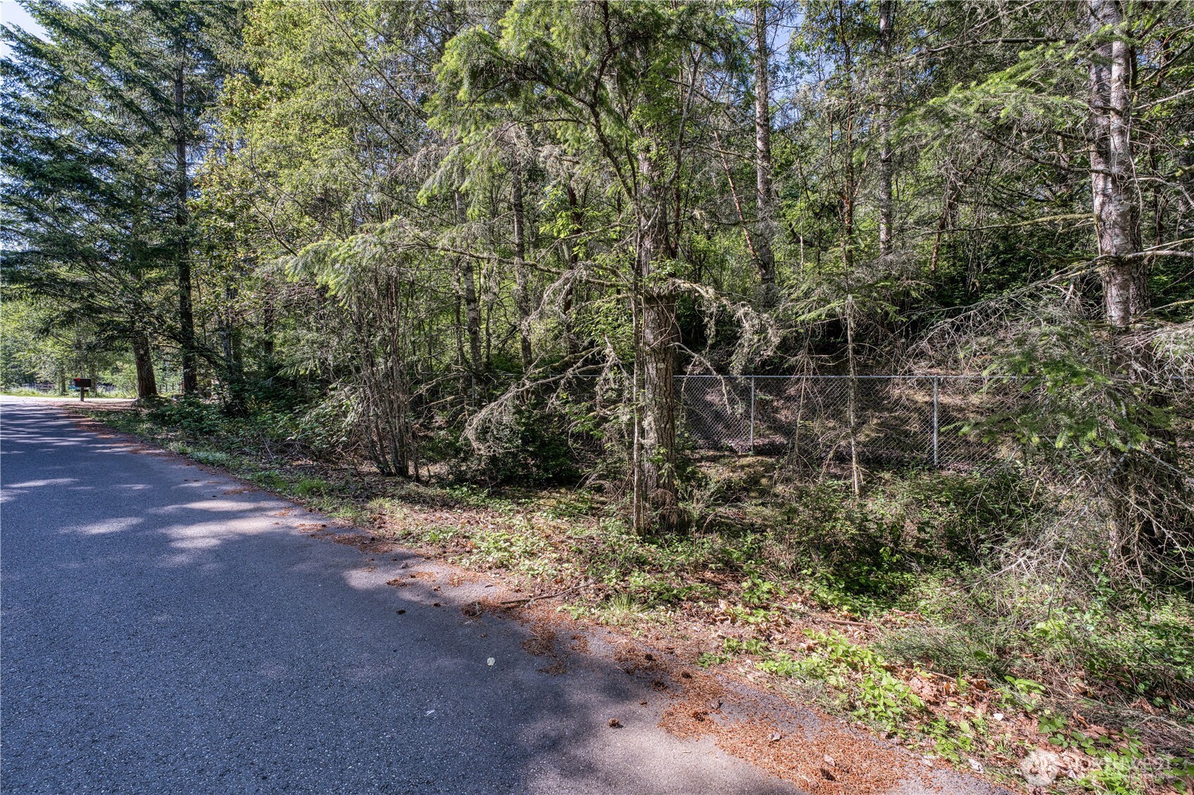 20116 9th Street SW Lakebay WA 98349