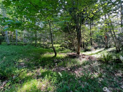 5710 Oyster Bay Road NW Olympia WA 98502
