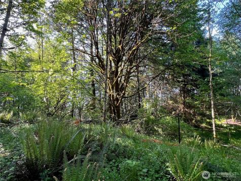 5710 Oyster Bay Road NW Olympia WA 98502