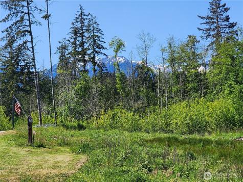 9999 Bravo, Lot 2 Road Port Angeles WA 98362
