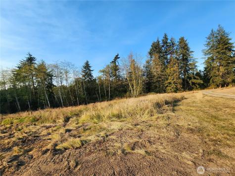 9999 Bravo, Lot 2 Road Port Angeles WA 98362
