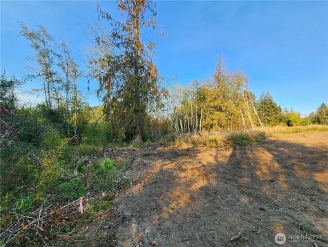 9999 Bravo, Lot 2 Road Port Angeles WA 98362