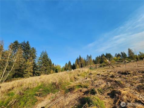 9999 Bravo, Lot 2 Road Port Angeles WA 98362