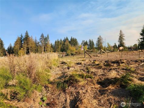 9999 Bravo, Lot 2 Road Port Angeles WA 98362