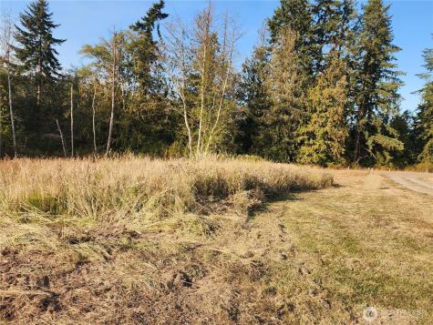 9999 Bravo, Lot 2 Road Port Angeles WA 98362