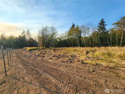 9999 Bravo, Lot 2 Road Port Angeles WA 98362