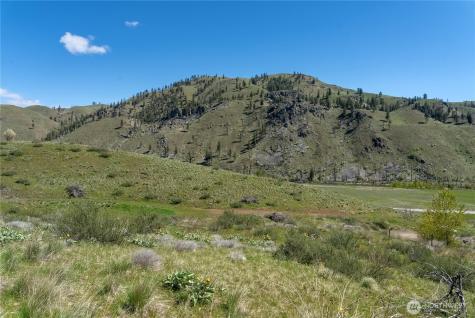 16 Dancing Bear Road Carlton WA 98814