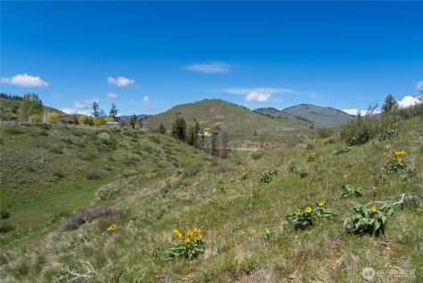 16 Dancing Bear Road Carlton WA 98814