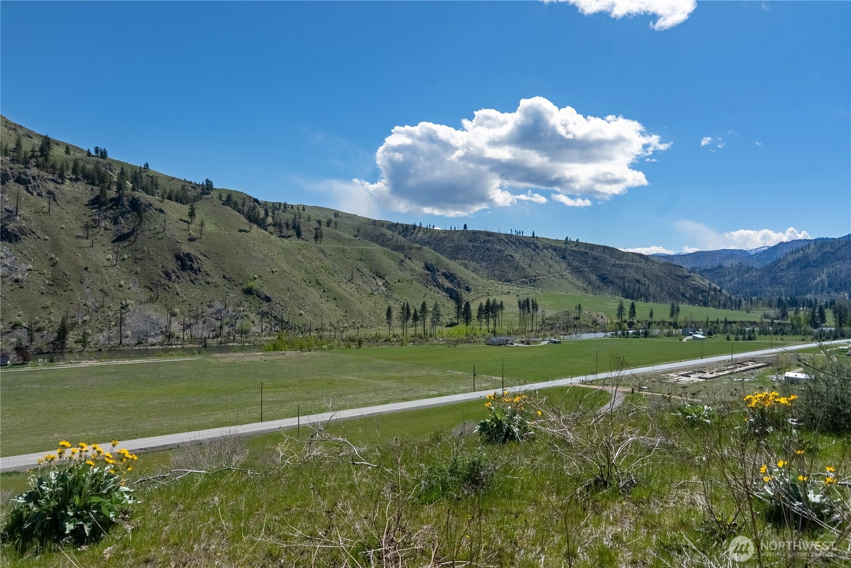 16 Dancing Bear Road Carlton WA 98814