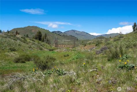 16 Dancing Bear Road Carlton WA 98814