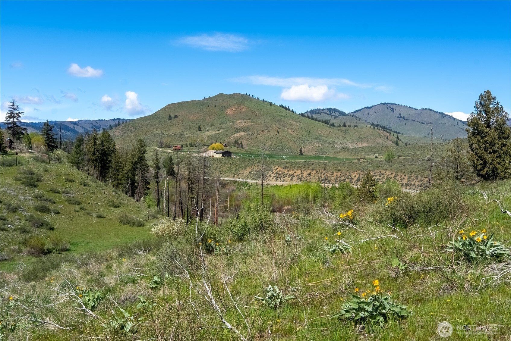 16 Dancing Bear Road Carlton WA 98814