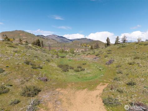 16 Dancing Bear Road Carlton WA 98814