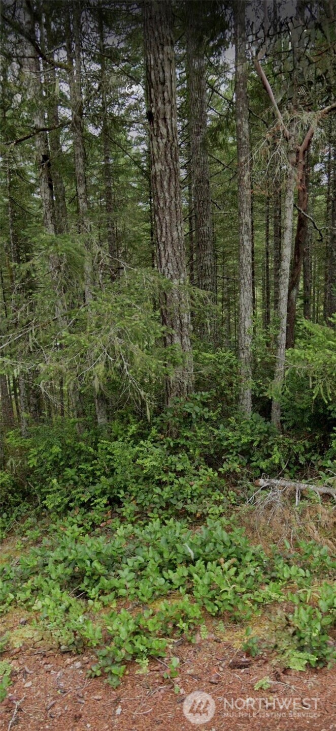 1221 NE Collins Lake Drive Tahuya WA 98588
