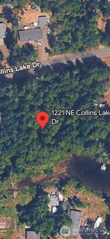 1221 NE Collins Lake Drive Tahuya WA 98588