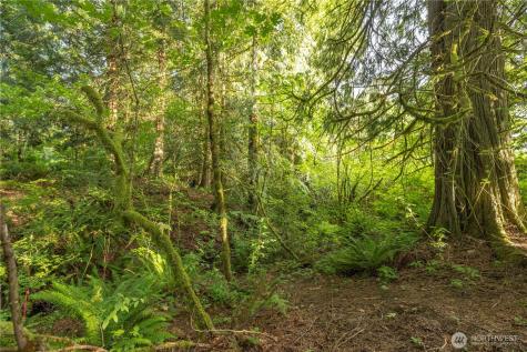 0 163rd Avenue SE Snohomish WA 98290