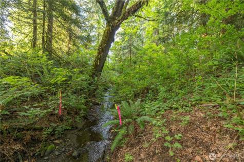 0 163rd Avenue SE Snohomish WA 98290