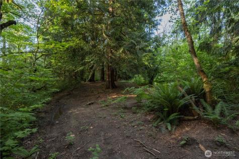 0 163rd Avenue SE Snohomish WA 98290
