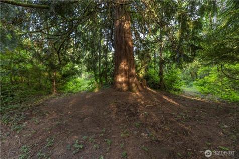 0 163rd Avenue SE Snohomish WA 98290