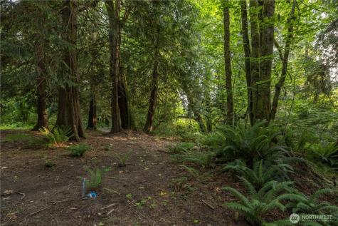 0 163rd Avenue SE Snohomish WA 98290