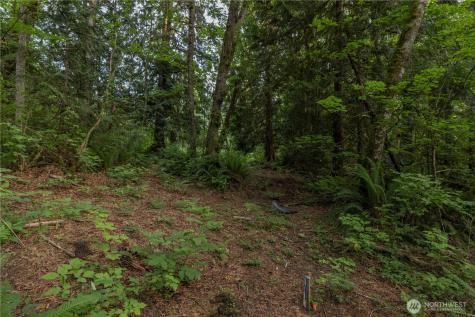 0 163rd Avenue SE Snohomish WA 98290