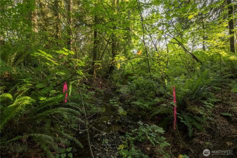 0 163rd Avenue SE Snohomish WA 98290