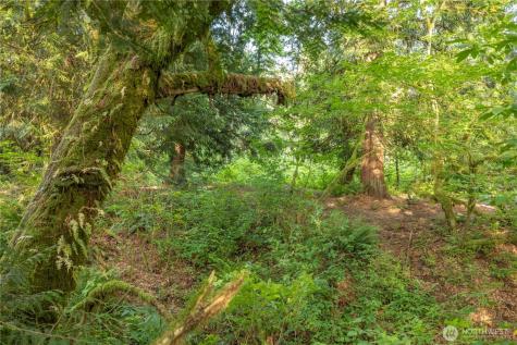 0 163rd Avenue SE Snohomish WA 98290