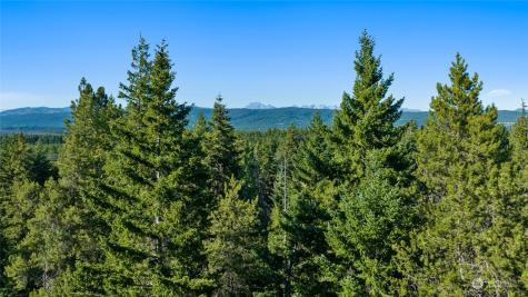 730 Tall Pines Drive Cle Elum WA 98922