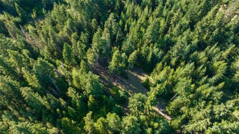 730 Tall Pines Drive Cle Elum WA 98922