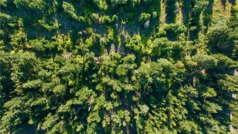 730 Tall Pines Drive Cle Elum WA 98922