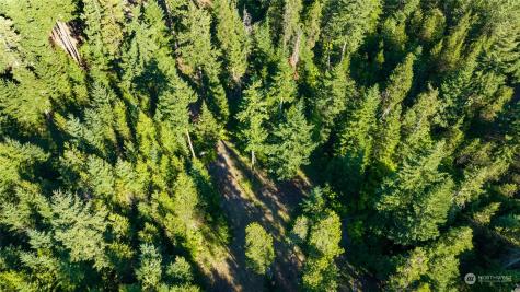 730 Tall Pines Drive Cle Elum WA 98922