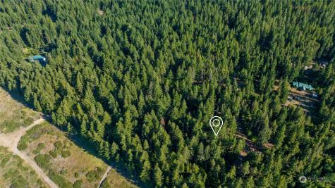 730 Tall Pines Drive Cle Elum WA 98922