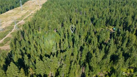 730 Tall Pines Drive Cle Elum WA 98922