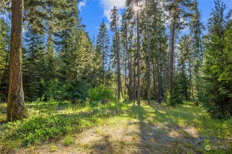 730 Tall Pines Drive Cle Elum WA 98922