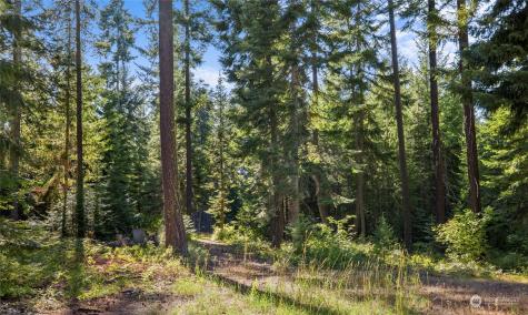 730 Tall Pines Drive Cle Elum WA 98922