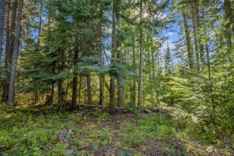 730 Tall Pines Drive Cle Elum WA 98922
