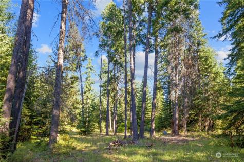 730 Tall Pines Drive Cle Elum WA 98922