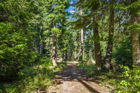 730 Tall Pines Drive Cle Elum WA 98922