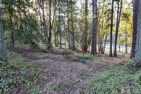 0 Lemolo Shore, Parcel 3-006 Drive NE Poulsbo WA 98370